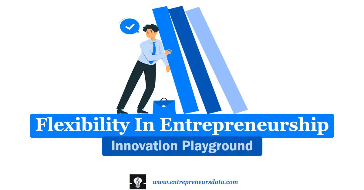Flexibility In Entrepreneurship: Innovation Playground 19 What is Flexibility in Entrepreneurship | Characteristics, Real-World Examples & Practical Tips for Implementation of Flexibility in Entrepreneurship | Why Is Flexibility Important for Business?