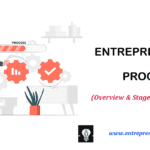 Entrepreneurial Process: Meaning, Overview & Stages