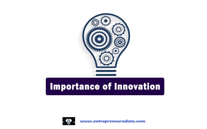 Importance of Innovation by entrepreneurs data