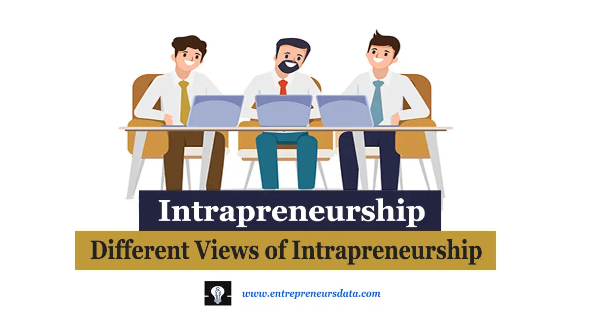 Intrapreneurship| Different Views of Intrapreneurship | entrepreneursdata.com