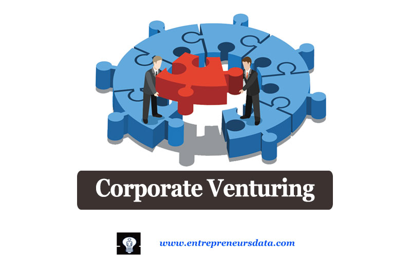 Corporate Venturing in Corporate Entrepreneurship by entrepreneurs data

