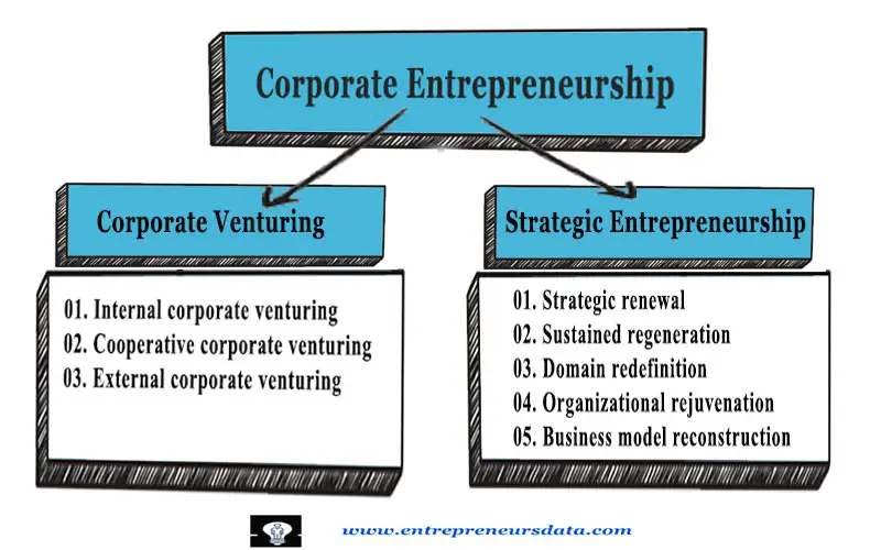 Types of Corporate Entrepreneurship by entrepreneurs data