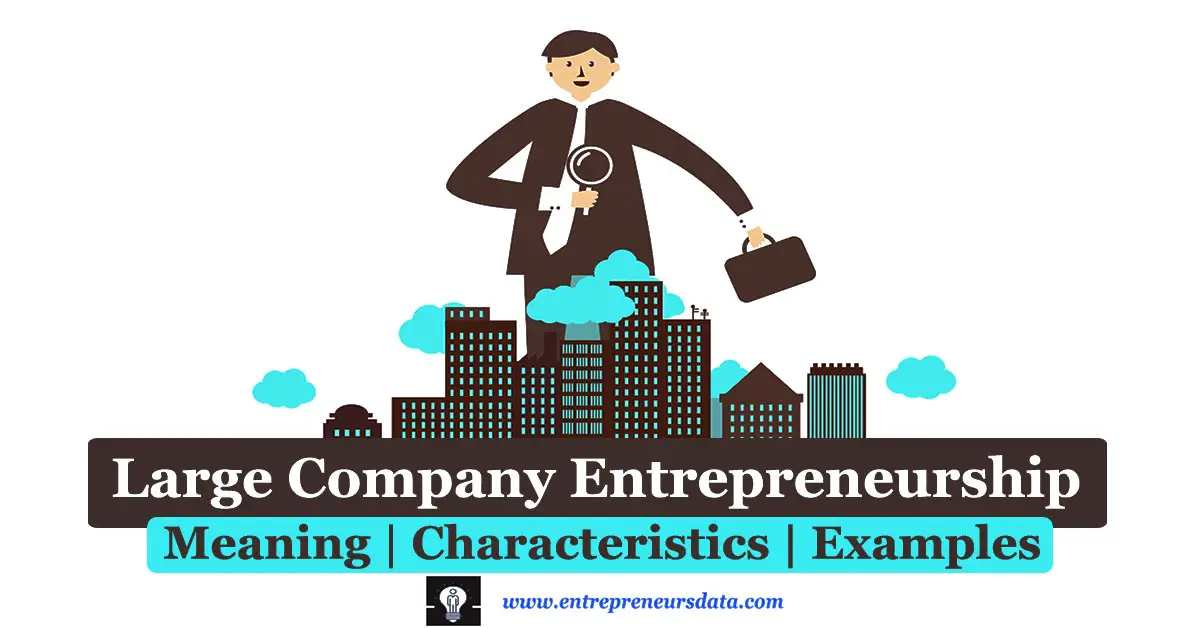Large Company Entrepreneurship: Meaning, Characteristics & Examples | Large Company Entrepreneurship Characteristics | Large Company Entrepreneurship Examples | Big Company Entrepreneurship