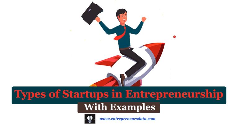 8 Types of Startups in Entrepreneurship with Examples