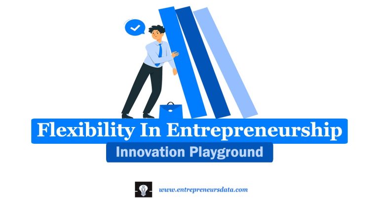 Flexibility In Entrepreneurship: Innovation Playground