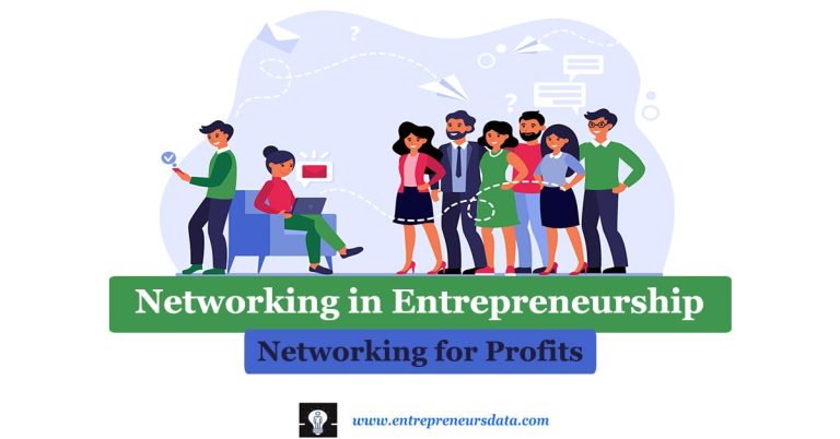 Networking in Entrepreneurship: Networking for Profits